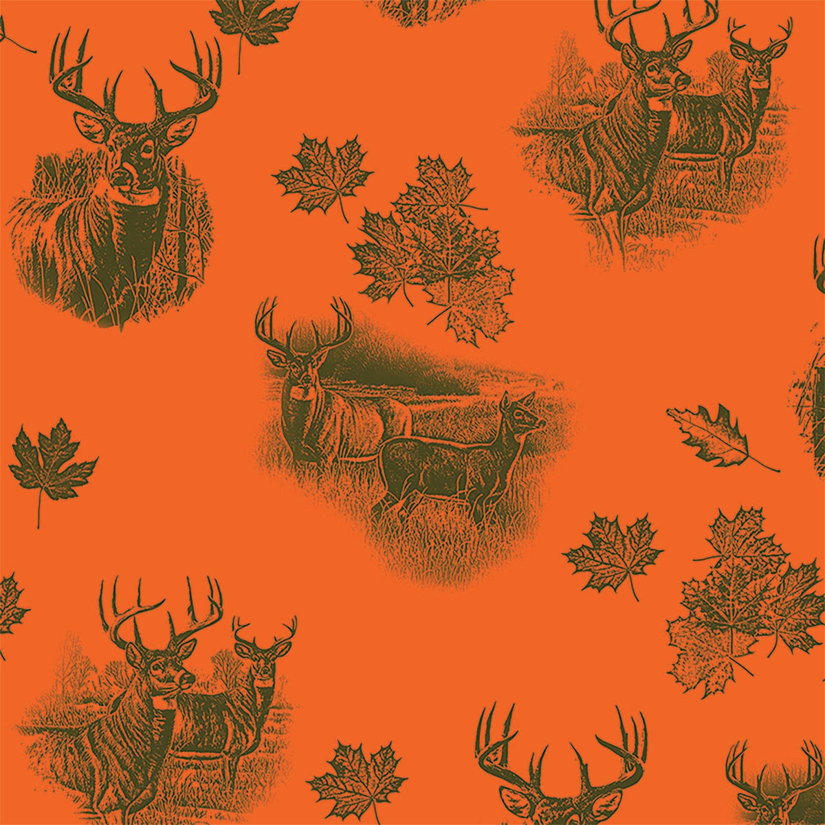 Gift Wrap-Deer Assortment-36 pc Display