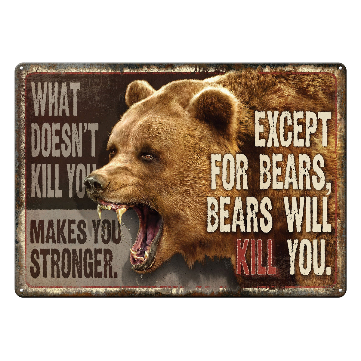 Tin Sign 12in x 17in-What Doesnt Kill You