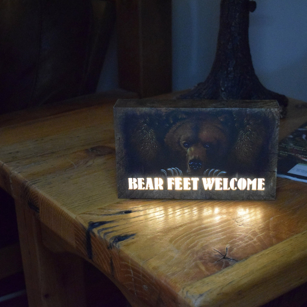 LED Box 8in x 5in-Bear Feet
