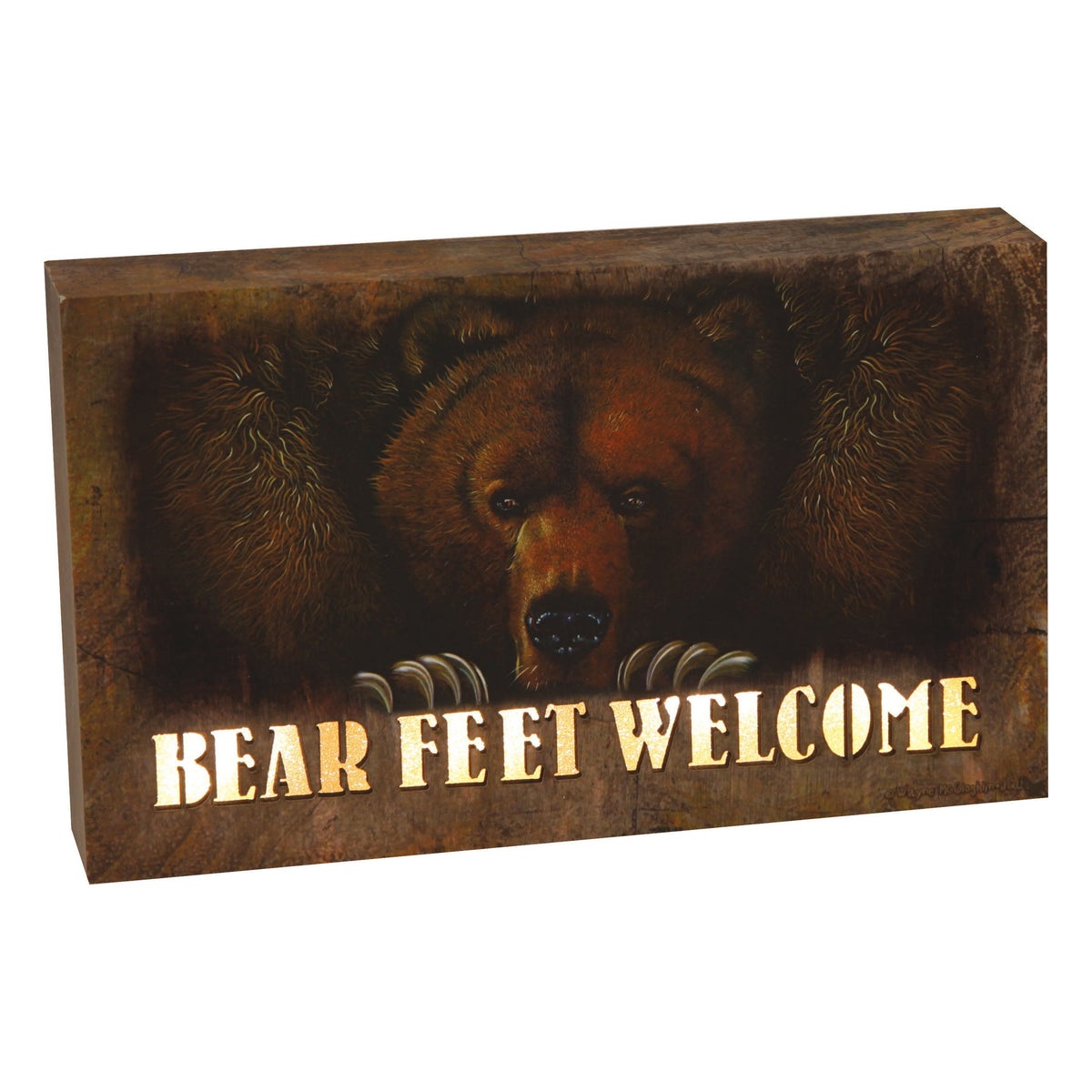 LED Box 8in x 5in-Bear Feet