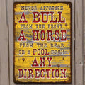 Tin Sign 12in x 17in-Bull Direction