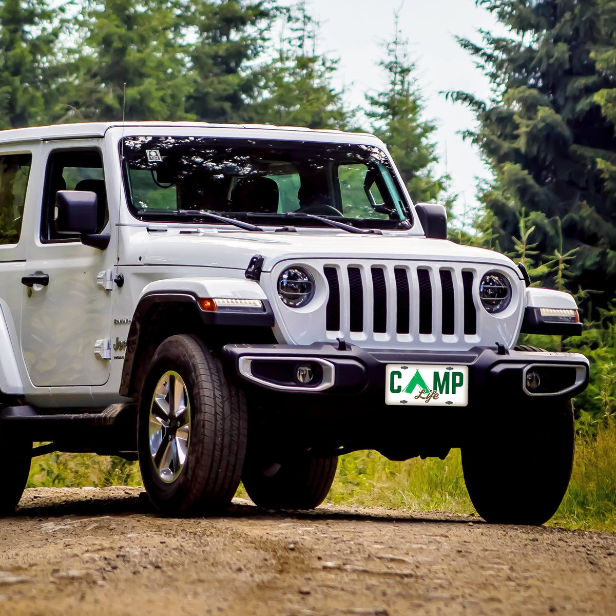 Vanity License Plate 12in x 6in-Camp Life