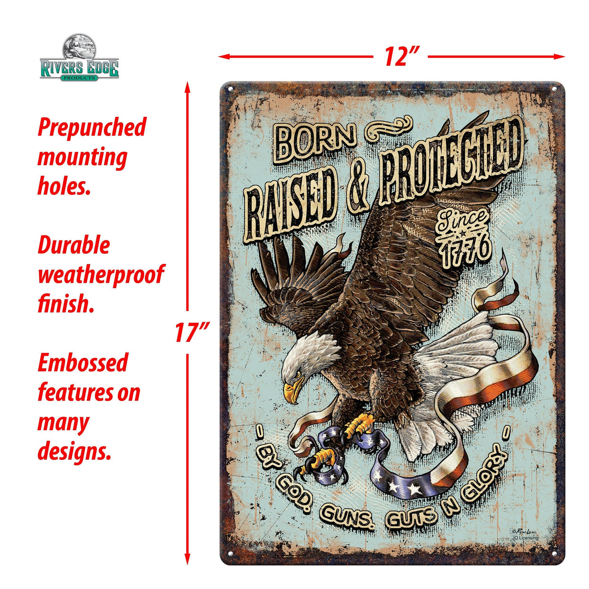 Tin Sign 12in x 17in-Born Raised and Protect