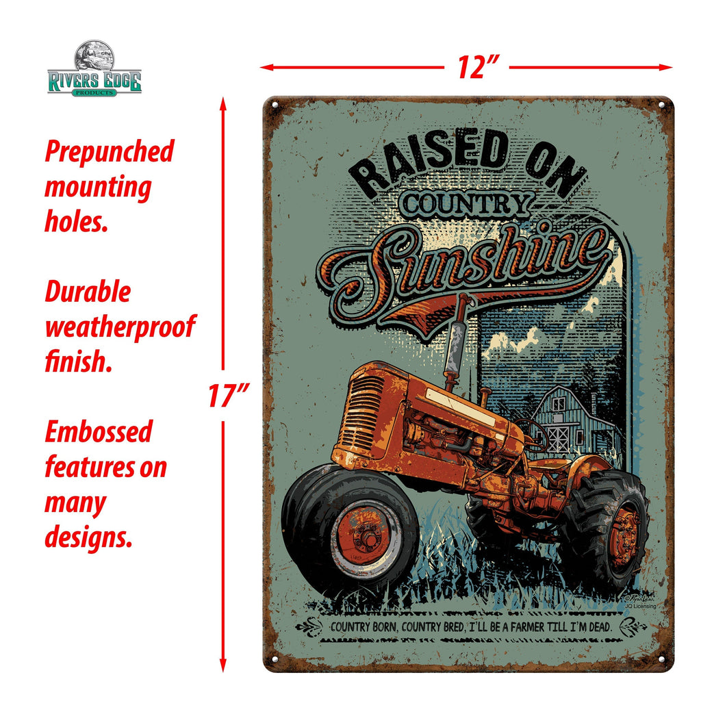 Tin Sign 12in x 17in-Raised on Sunshine