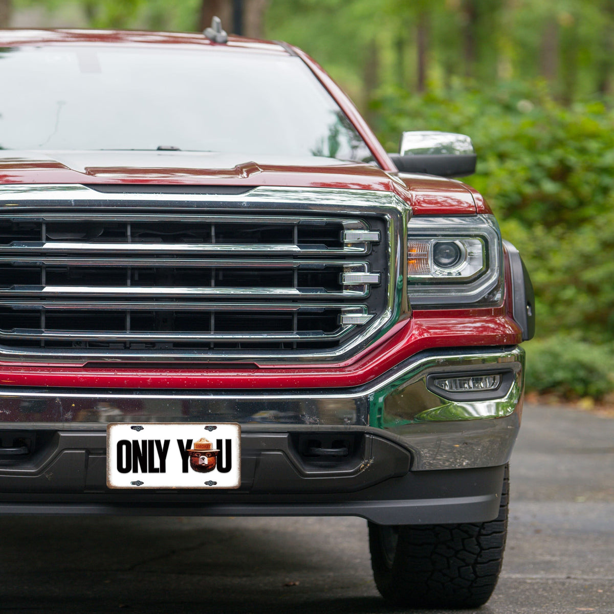 Vanity License Plate 12in x 6in-Only You