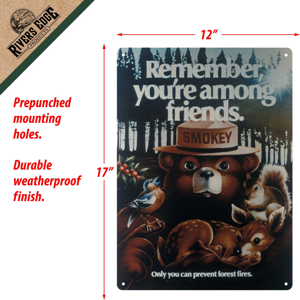 Tin Sign 12in x 17in-Remember Youre Among Friends