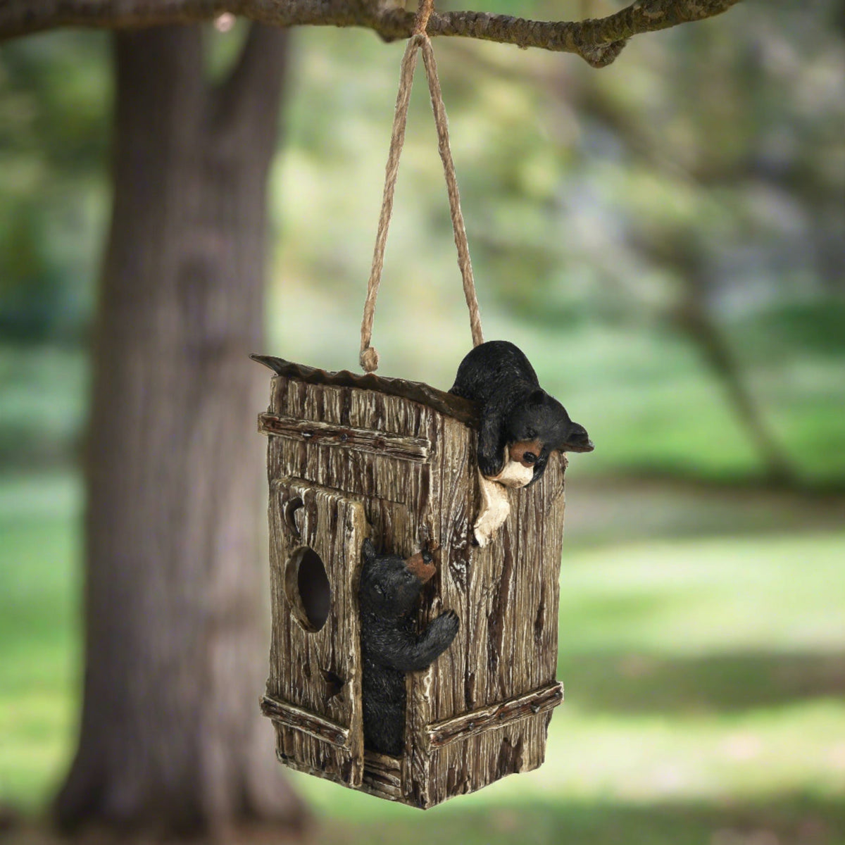 Birdhouse-Bears in Outhouse