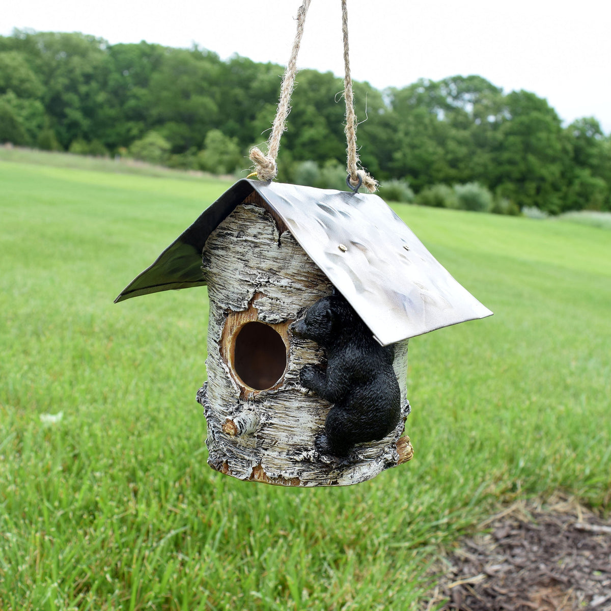 Birdhouse-Birch Tree and Bear