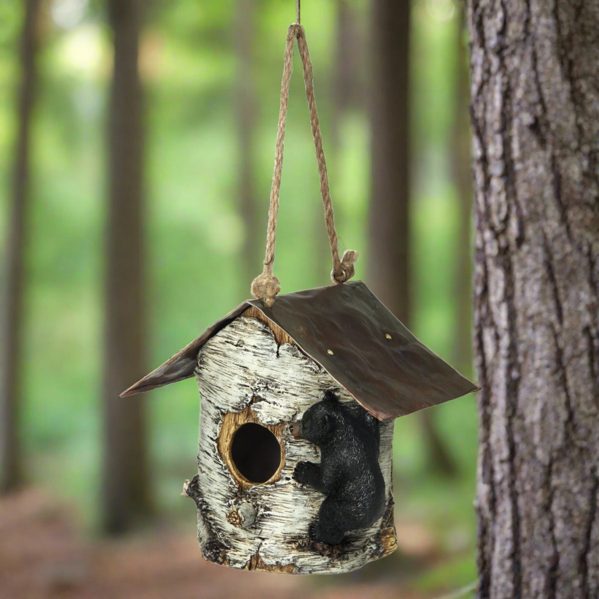 Birdhouse-Birch Tree and Bear