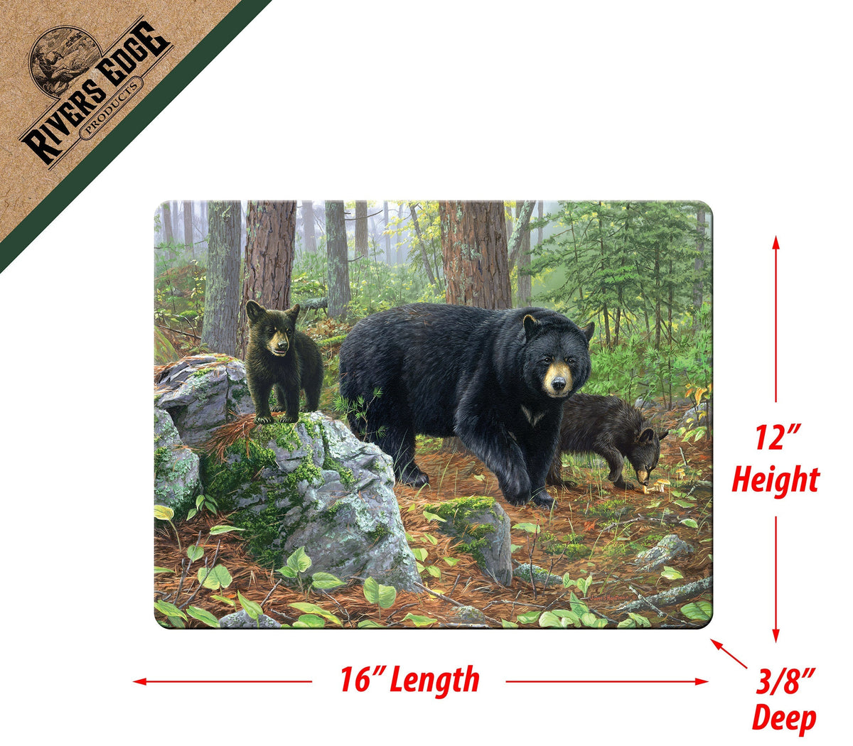 Cutting Board 12in x 16in-12pc Assorted Bear
