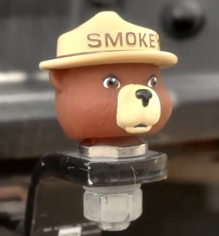 Trailer Ball Cover-Smokey Bear